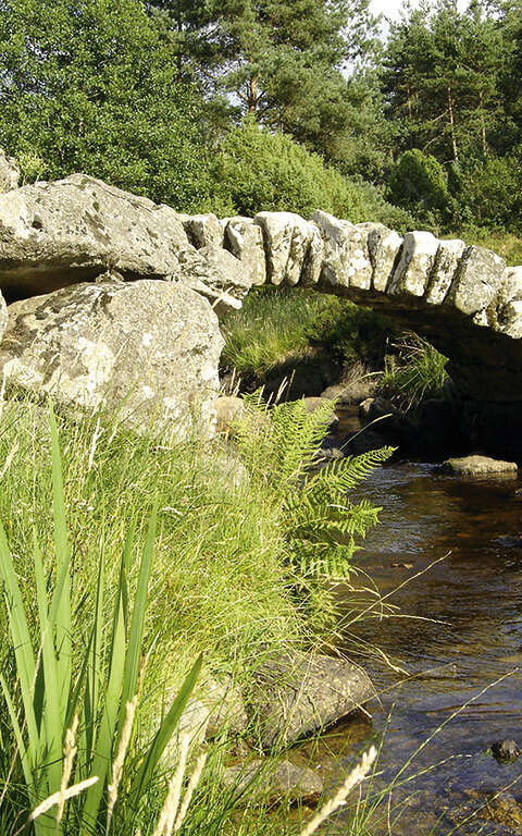 Pont de Senoueix