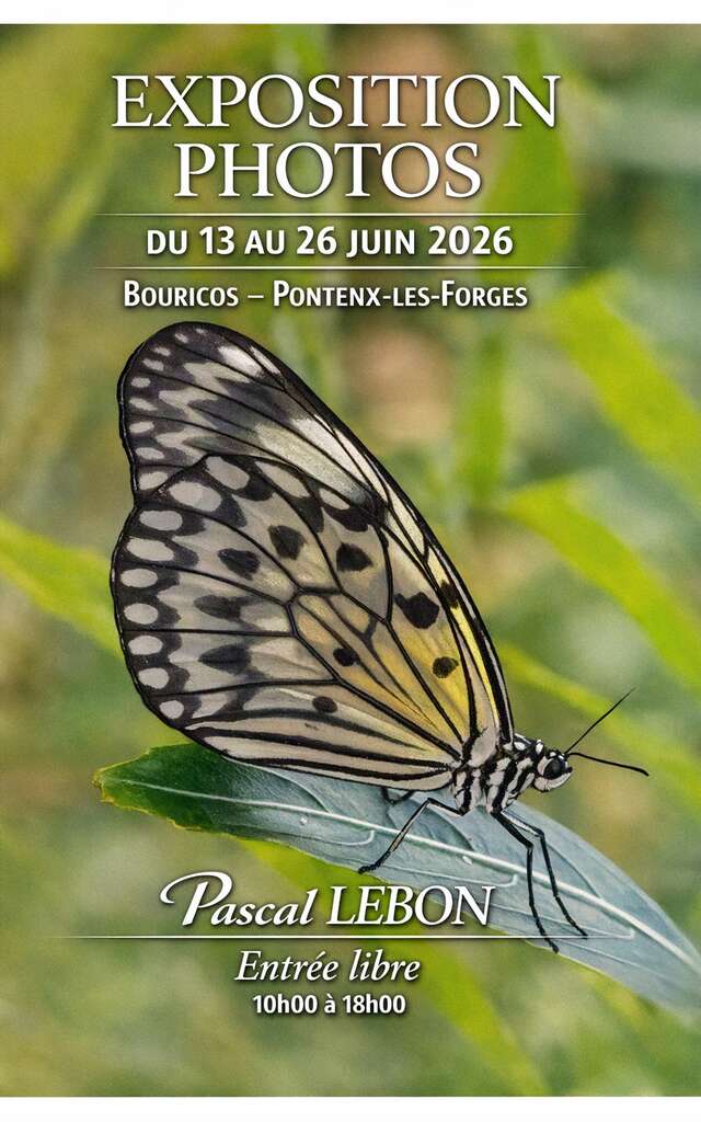 Exposition photos - Pascal Lebon