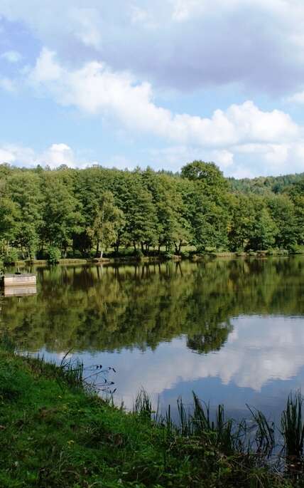 Etang de Jarmenet