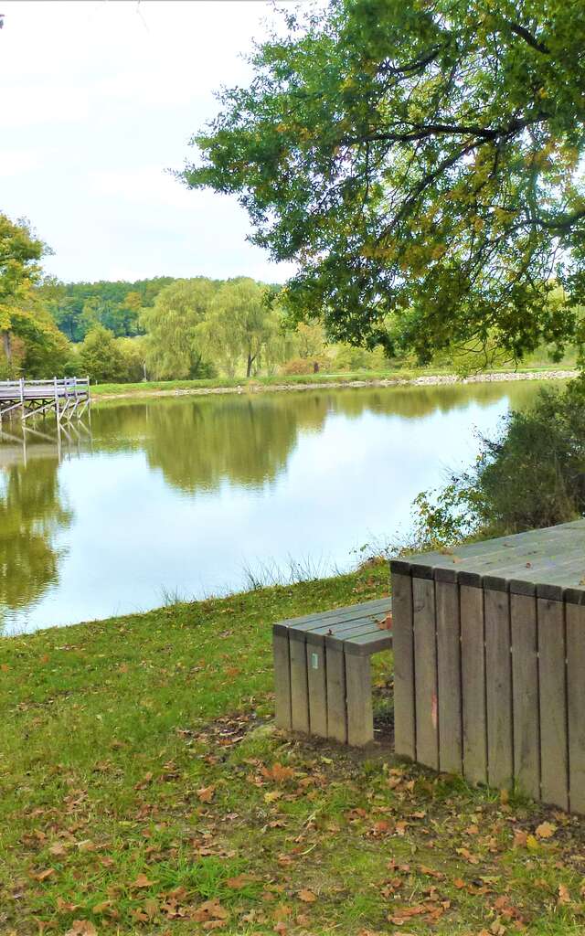 Etang de Coux : Aire de pique-nique