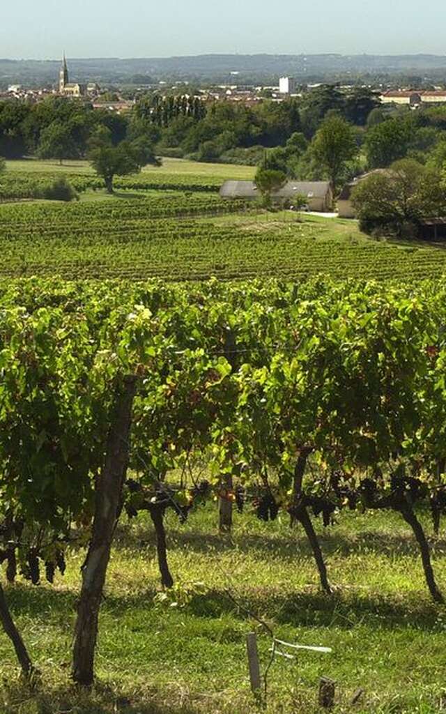 Château Beauportail