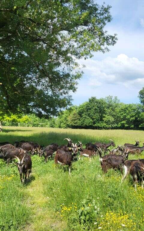 La Ferme à Roulettes