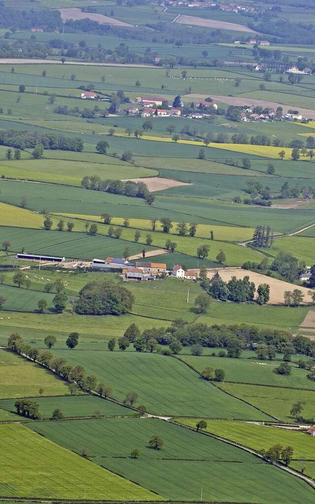 Le sentier de la Brande de Landes