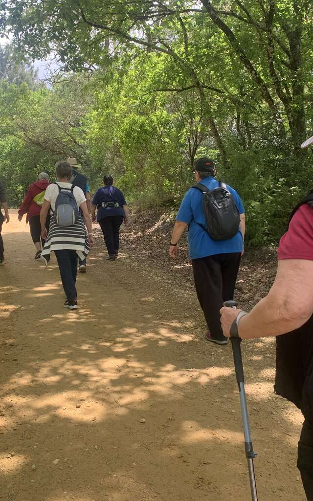 Découverte Marche Sport Santé