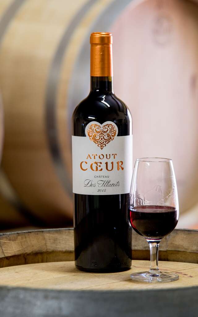 Château des Illarets