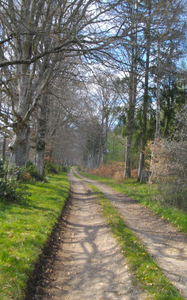 Hautefeuille Track