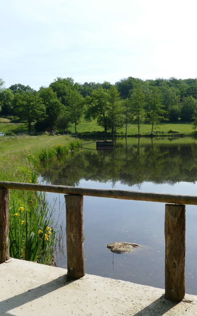 Circuit de randonnée : l'étang de Jarmenet