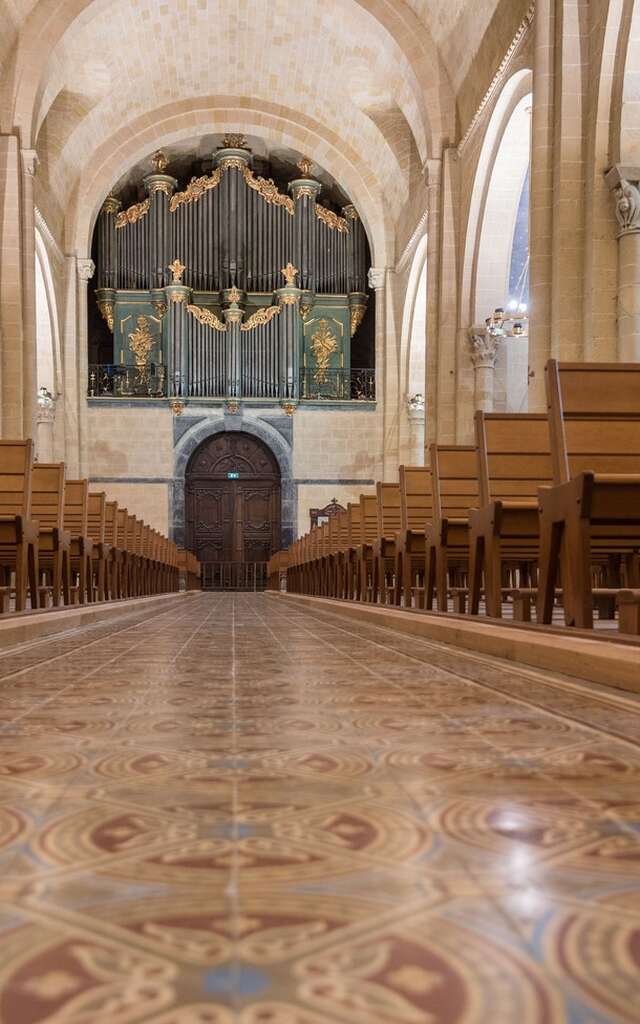 Orgue de la Cathédrale de Lescar