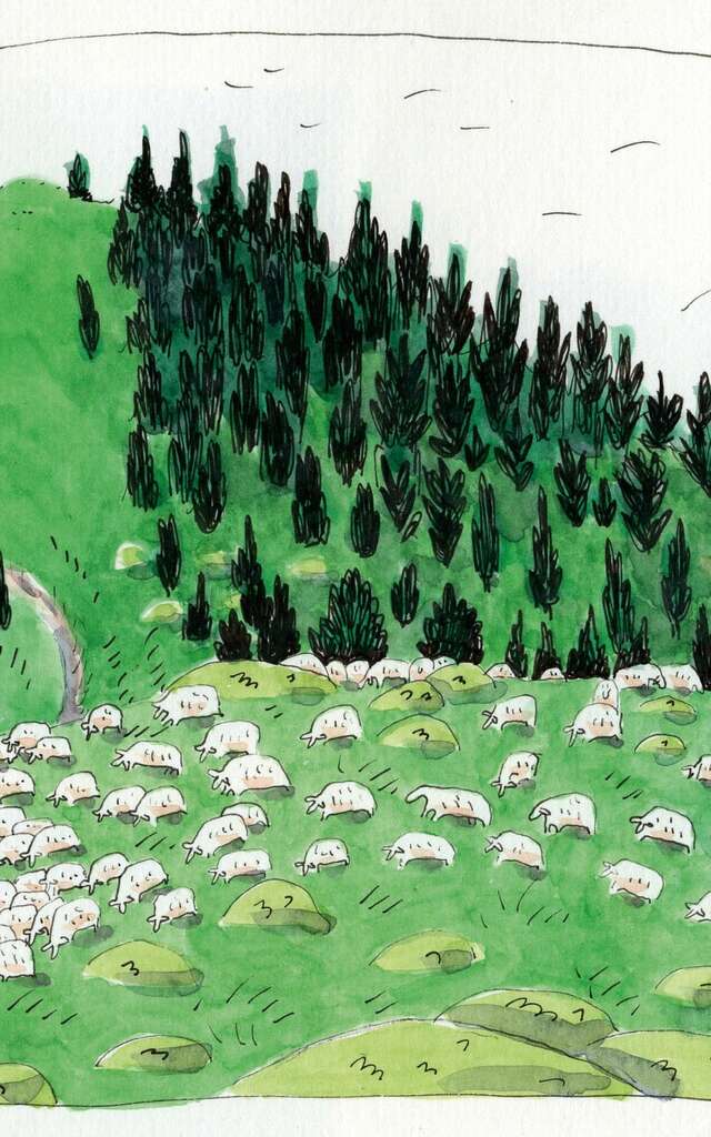 Conférence Appel d’Air : « Bergère »