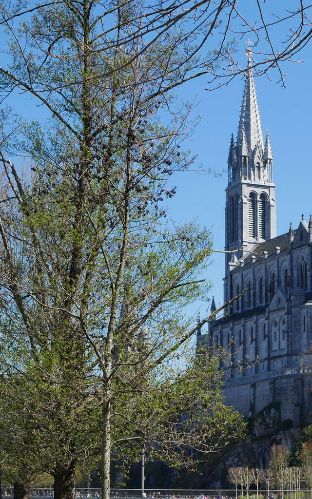 BASILIQUE DE L’IMMACULÉE CONCEPTION