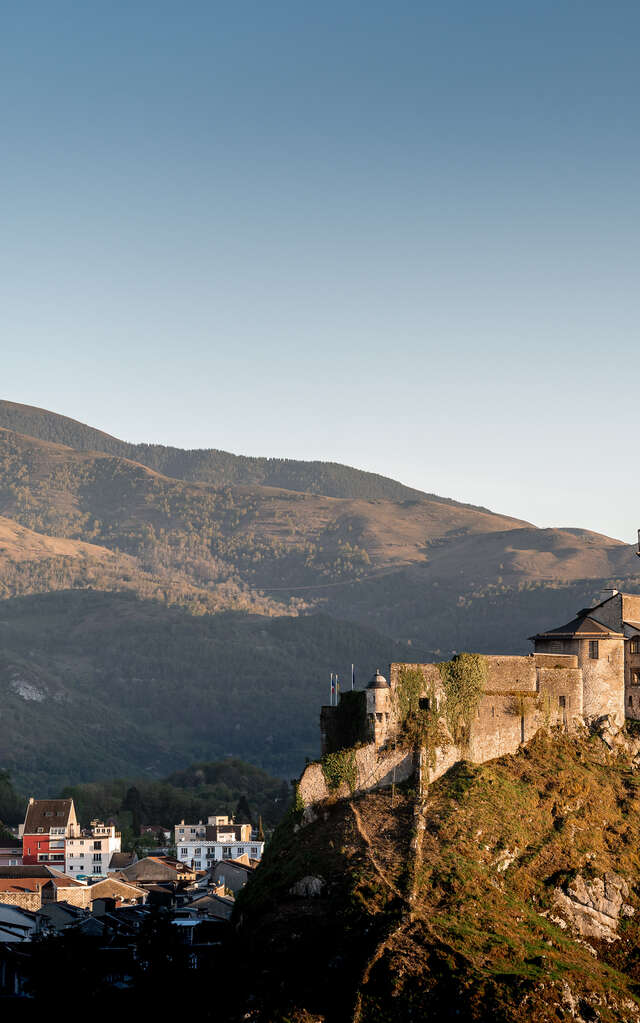 Visites guidées "Les systèmes défensifs du château"