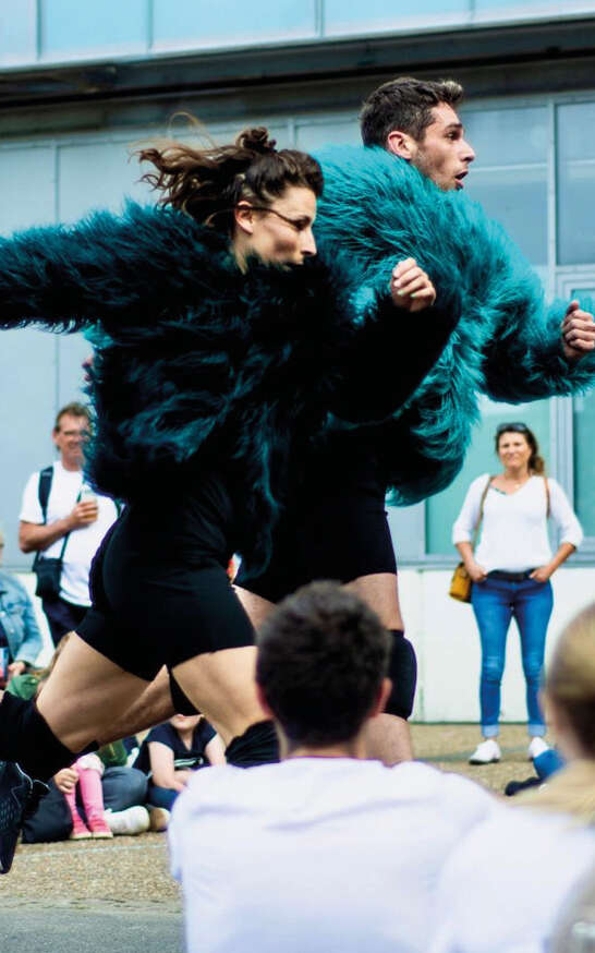 Spectacle "Bison"