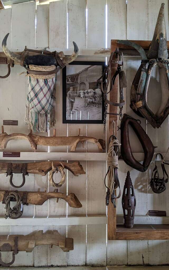 Démonstration laine au Musée du Paysan Gascon