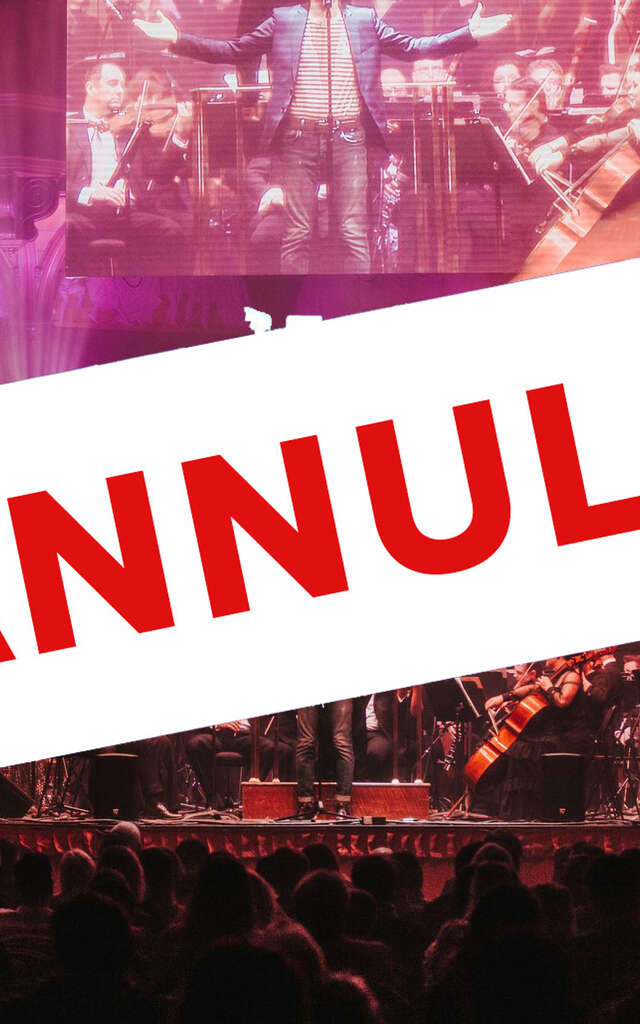 Concert Live - La musique magique d'Harry Potter