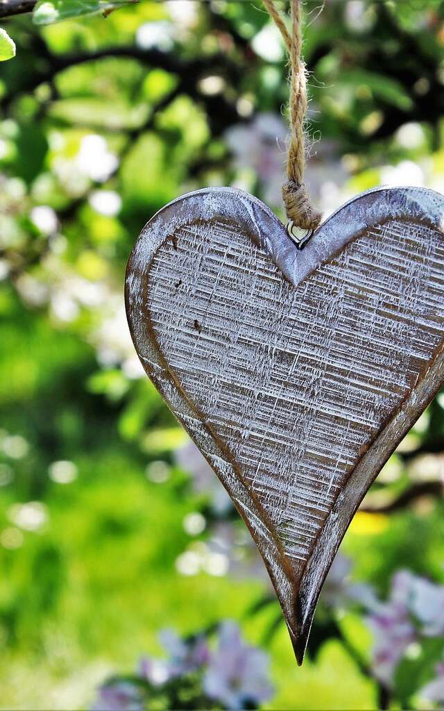 Causerie verte : « Soin aux arbres fruitiers, les principes des semis d’hiver »