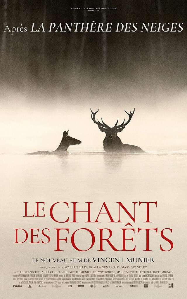 Film: Le chant des forêts