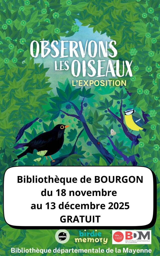 Exposition : Observons les oiseaux