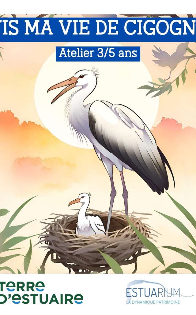Vis ma vie de cigogne