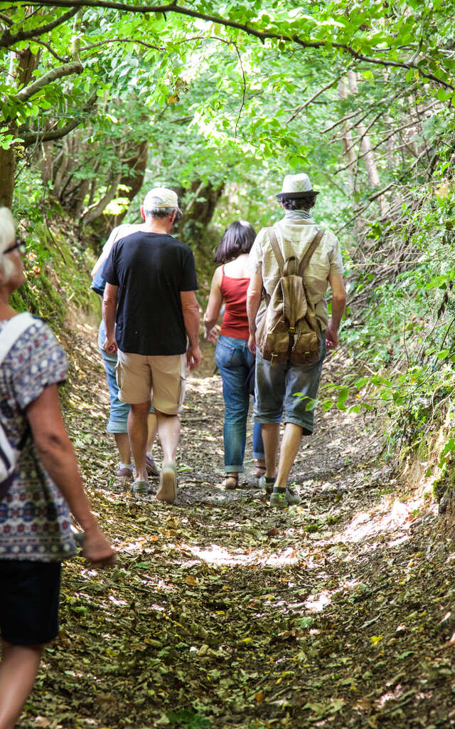 La Vallée de la Chéronne