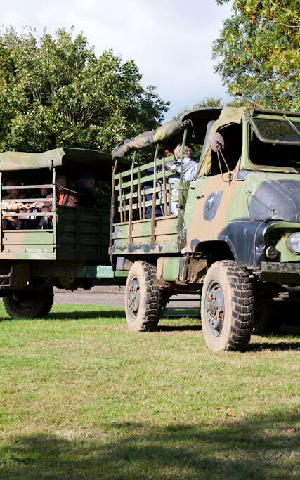 Safari ferme : élevage de cerfs