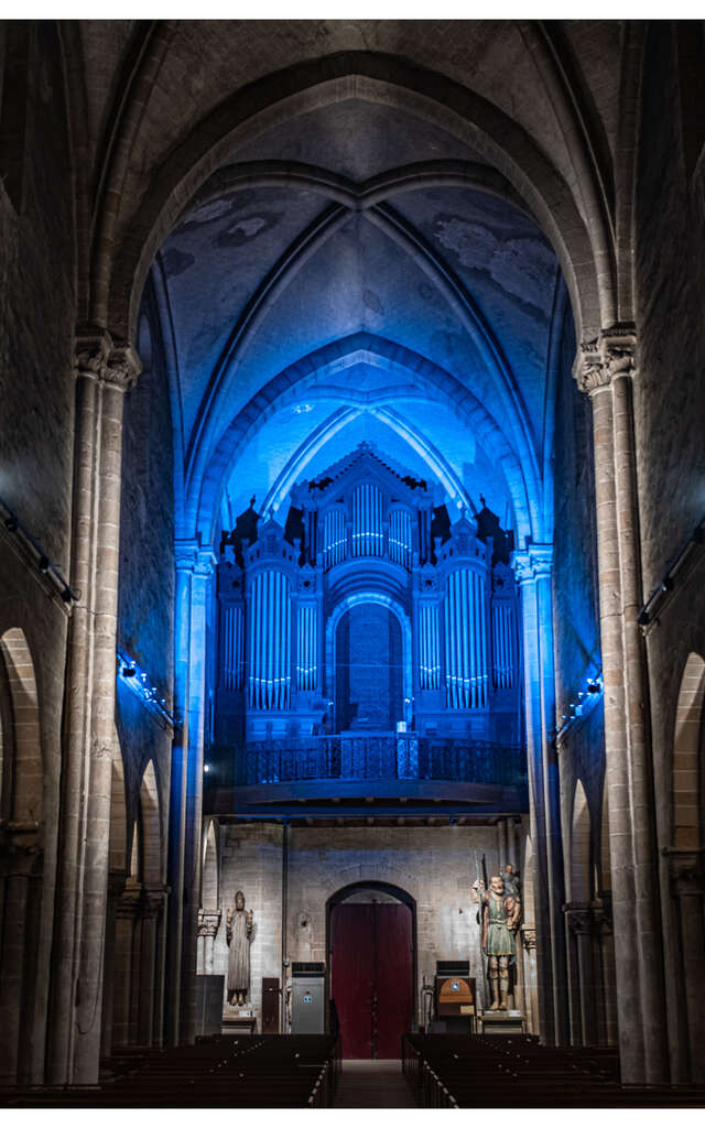 Visite de l'orgue (Basilique Notre-Dame d'Avesnières) - Journées européennes du patrimoine