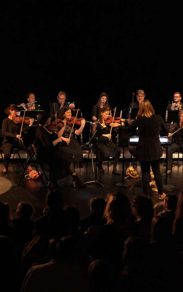 Musique : Symphonie pour Doudous - Ensemble instrumental de la Mayenne // Théâtre des 3 Chênes