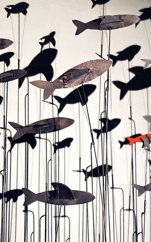 Il y a des oiseaux dans l'aquarium - Cie l'insolite mécanique / Le Théâtre (PUPAZZI)