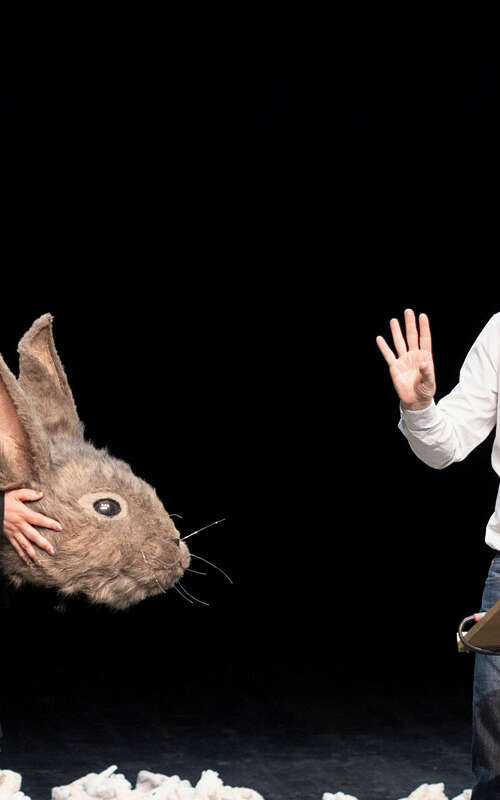 Le problème lapin, cartographie 7 - Cie vertical détour / Le Théâtre