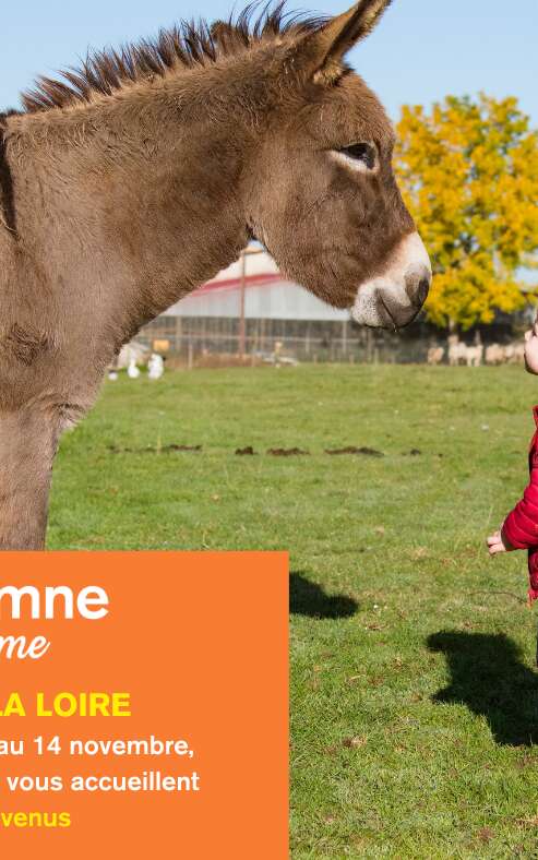 Automne à la ferme - La cueillette Duverger