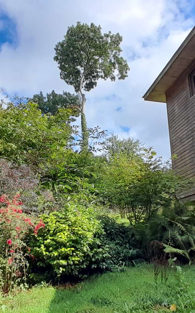 Visite jardin au naturel