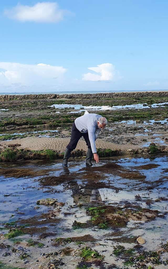 Littoral Tranchais et l'écluse à poissons (COMPLET)