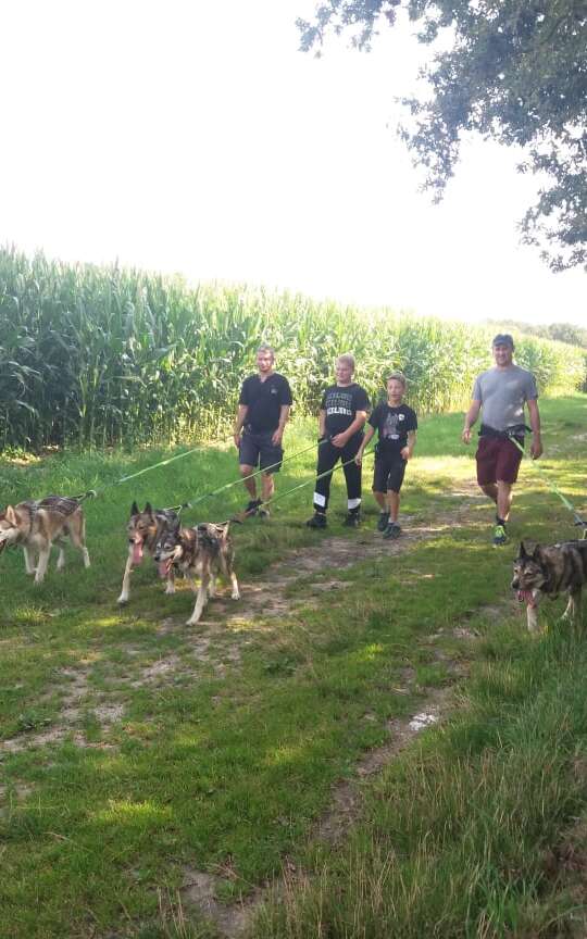 Cani-rando et balade kart : Association des Crocs Blancs Sarthois