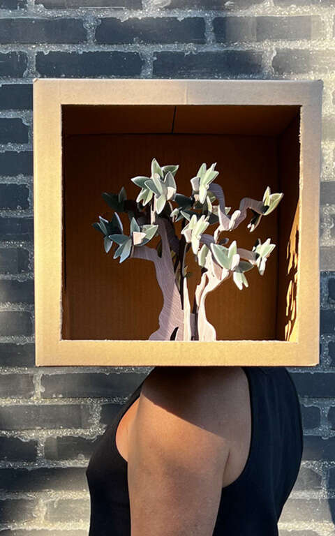 Coffre – Label Brut