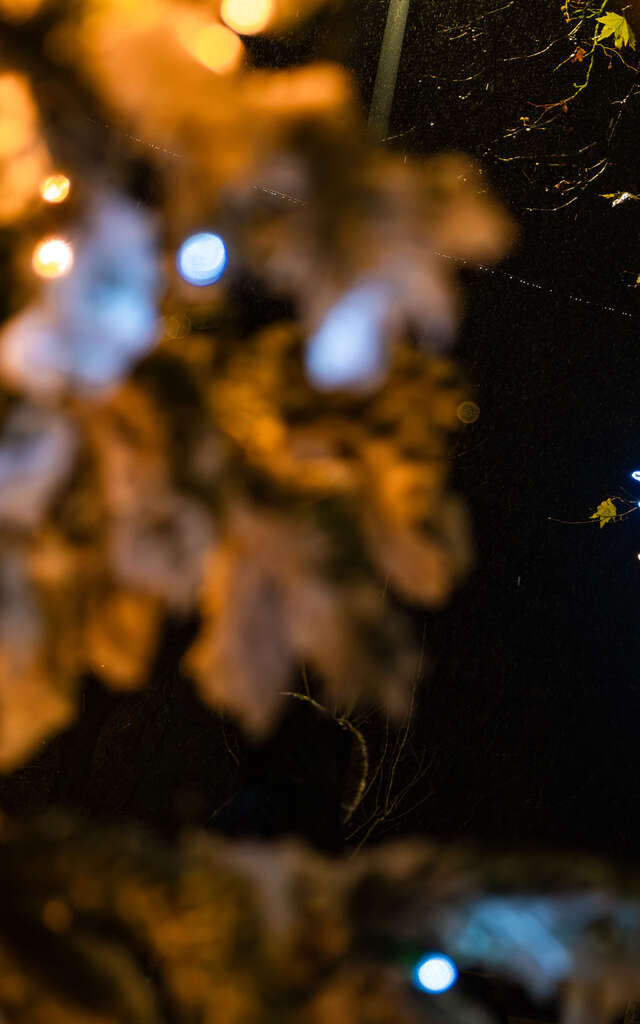La Dacterie, quartier de Lumières