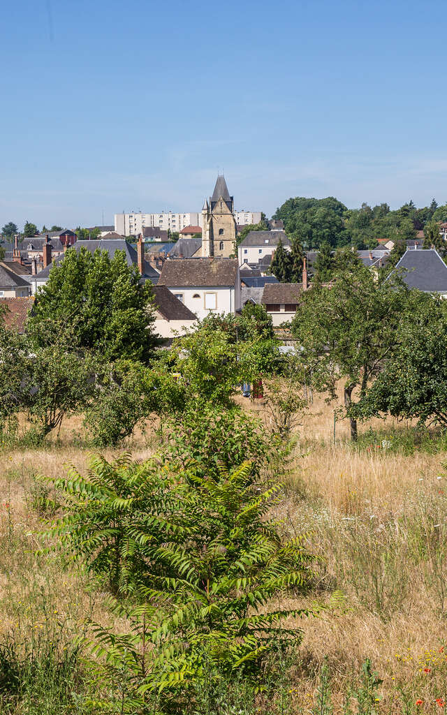Circuit du Gué aux Ânes