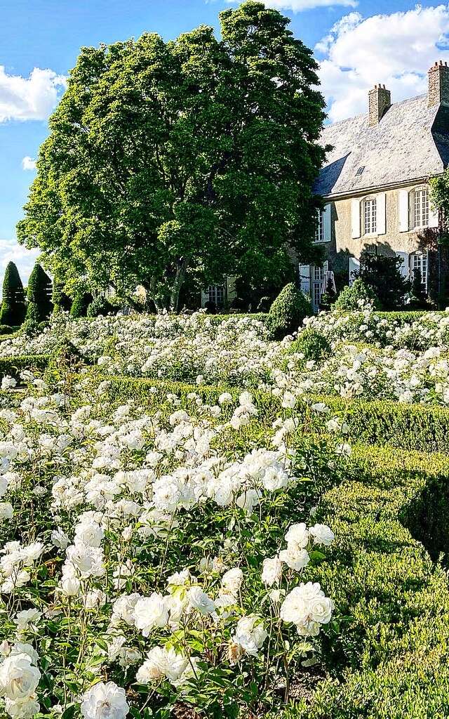 Jardins du manoir de la Massonnière