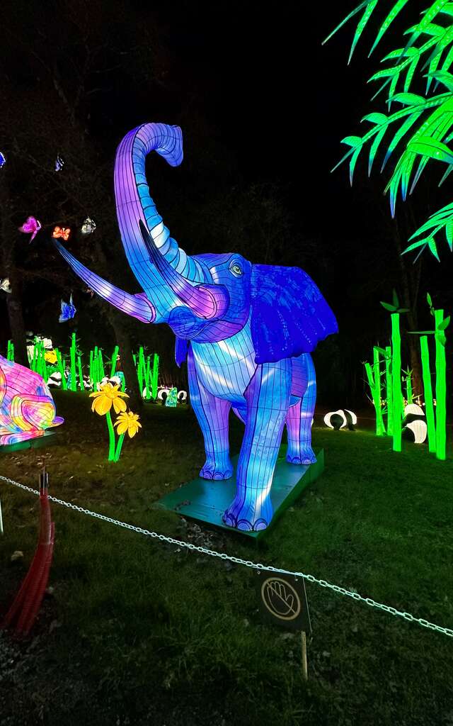 Les animaux fantastiques