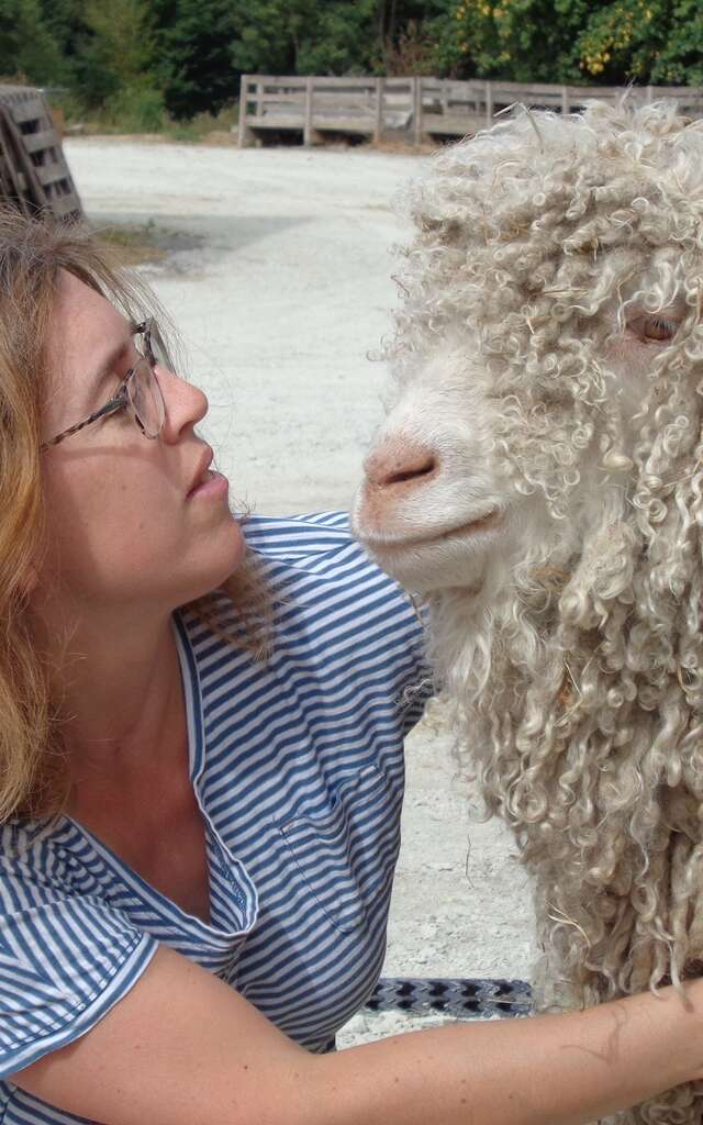 Industrielle Attitude : Mohair du Maine