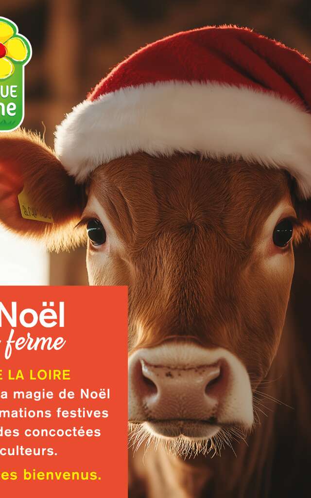 Noël à la Ferme : La Cueillette Duverger