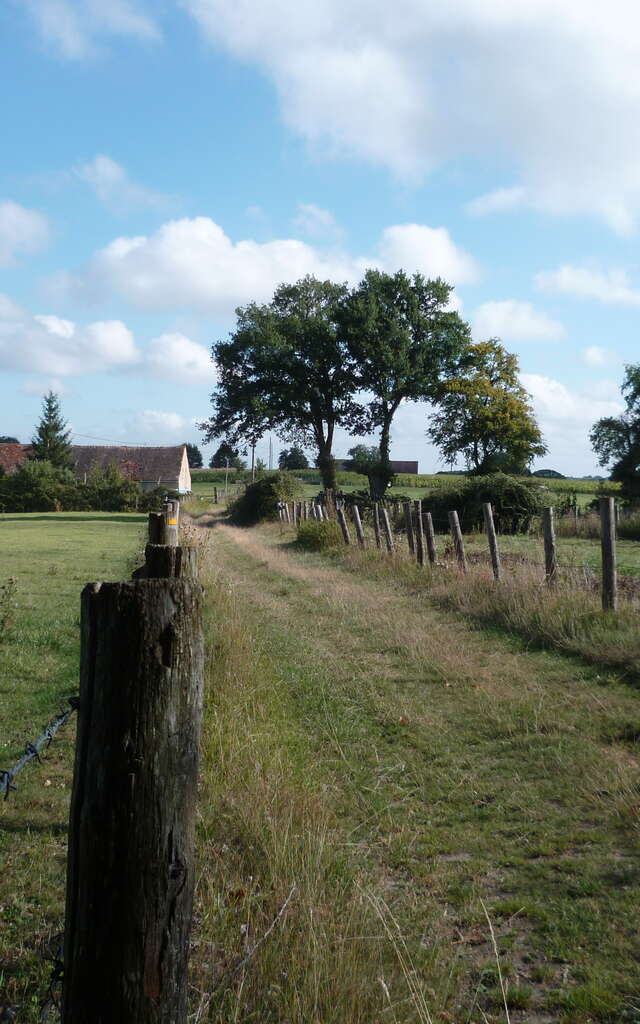 À l'orée des bois