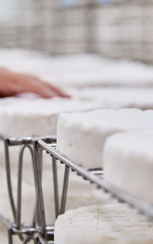 INDUSTRIELLE ATTITUDE : FROMAGERIE VAUBERNIER