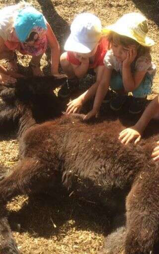 Petits soigneurs à l'Asinerie du Bois Gamats