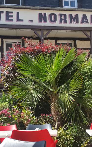 Hôtel Normand