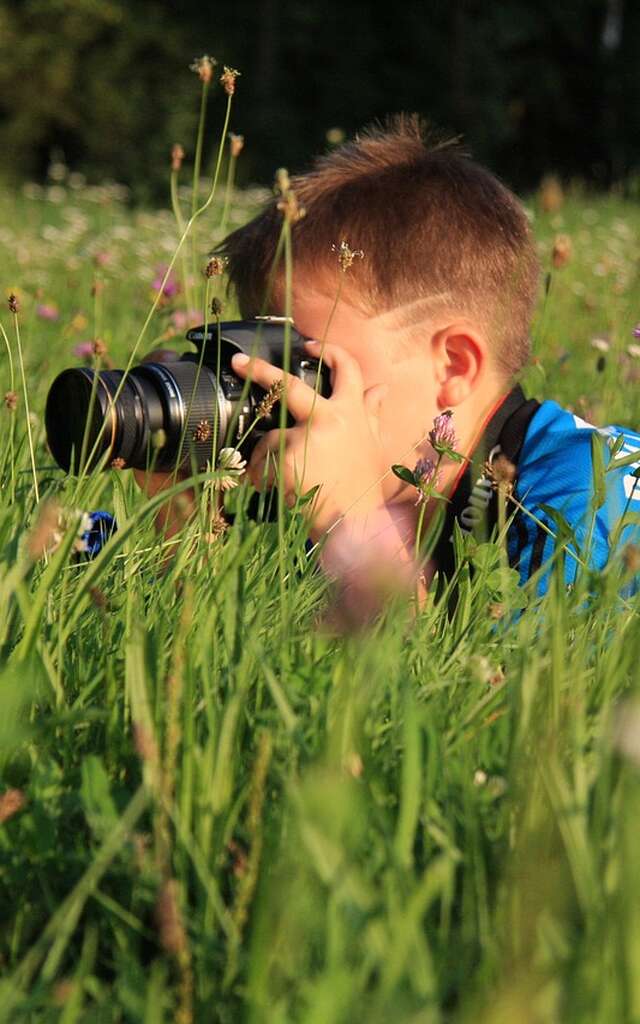 À la découverte de la faune et la flore du bocage
