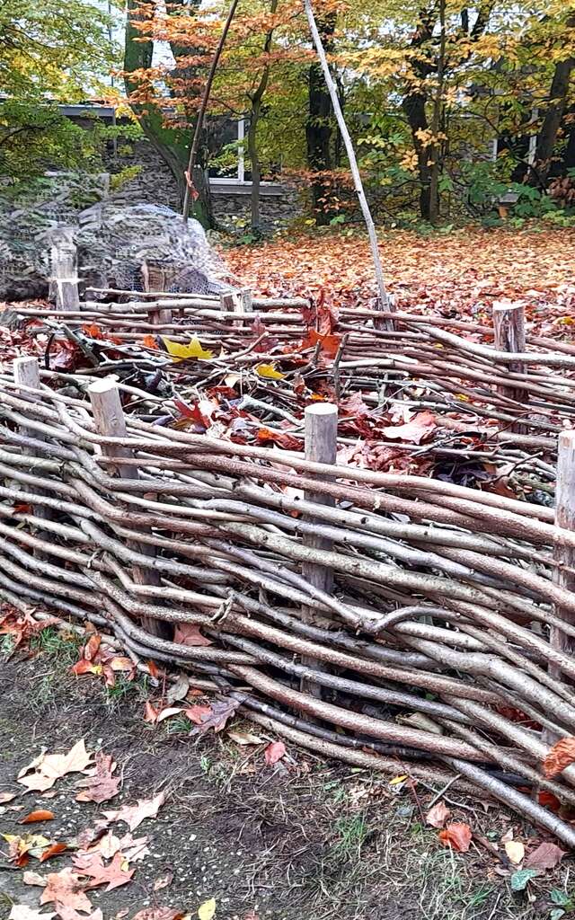 Atelier jardinage - Création d'une haie sèche