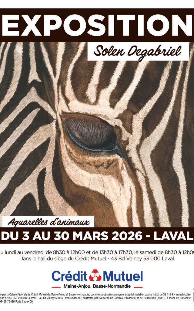 "Aquarelles d'animaux"