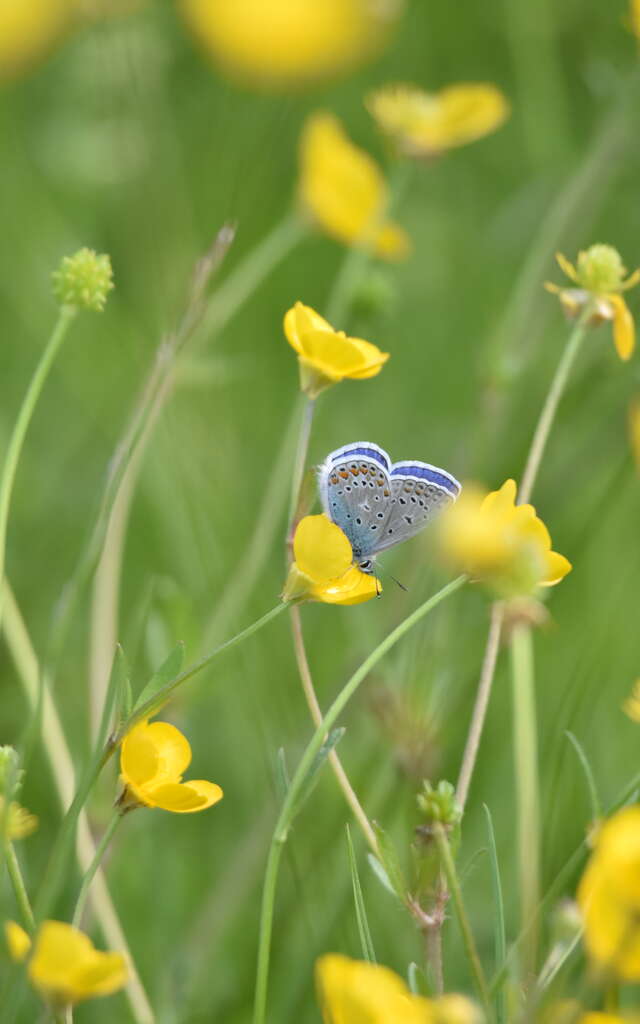 Un moment dans la vallée