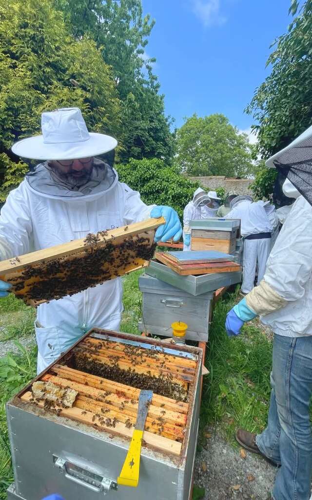 Réaliser son savon à base de produits de la ruche