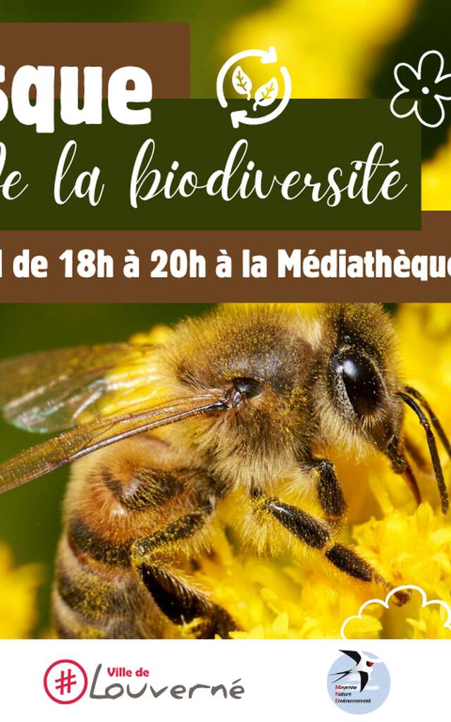 Fresque de la biodiversité