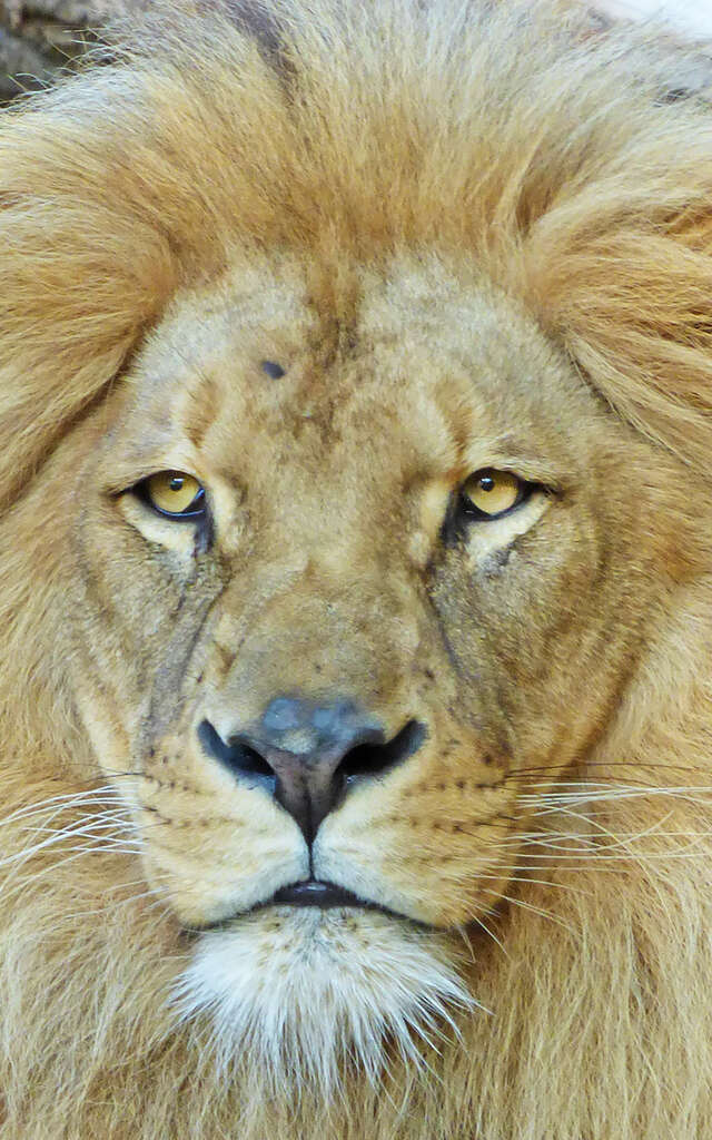 Natur'Zoo de Mervent